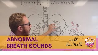 Abnormal Breath Sounds  Respiratory System [upl. by Mcmillan167]