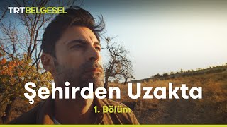 Şehirden Uzakta  Nevşehir  TRT Belgesel [upl. by Aivatahs]