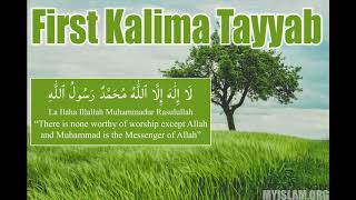 Learn The First Kalima Tayyab EASY  My Islam [upl. by Anelhtac]