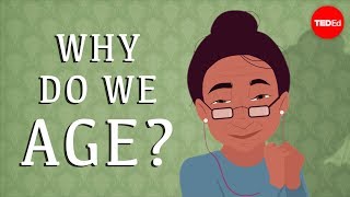 Why do our bodies age  Monica Menesini [upl. by Ewnihc]