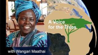 A Voice for Trees by Wangari Maathai [upl. by Eerized]