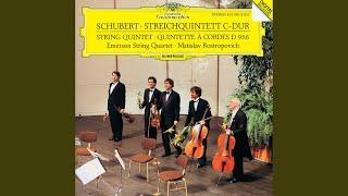 Schubert String Quintet in C Major D 956  II Adagio [upl. by Ilhsa]