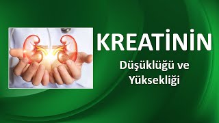 KREATİNİN NEDİR [upl. by Phonsa]