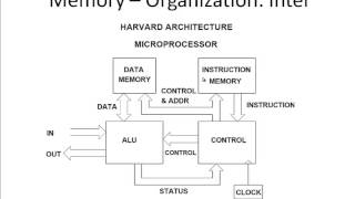 computer architecture  CPU [upl. by Lladnor]