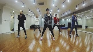 SHINee 샤이니 Everybody Dance Practice [upl. by Hogue729]