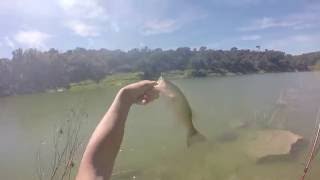 Bass Fishing at Reimers Ranch [upl. by Olleina]