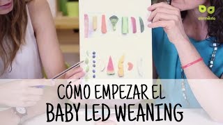 Baby Led Weaning Cómo empezar la alimentación complementaria con el método BLW [upl. by Vasileior996]