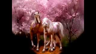 HISTORIA DE AMORRichard Clayderman [upl. by Akihsan394]