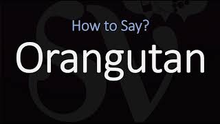 How to Pronounce Orangutan CORRECTLY [upl. by Noissap]