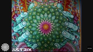 1200 Micrograms  Mescaline Astrix Remix [upl. by Mclain244]