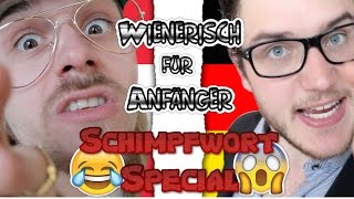 WIENERISCH FÜR ANFÄNGER  SCHIMPFEN  DEUTSCHLAND vs ÖSTERREICH  österreichischer Dialekt [upl. by Yenaiv]