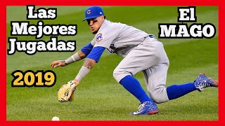 MLB Javier Báez LAS MEJORES JUGADAS El Mago baseball compilation [upl. by Nicodemus]