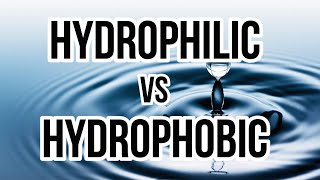 Hydrophilic vs Hydrophobic [upl. by Vasilek80]