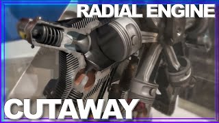 INSIDE LOOK How a Radial Engine Works AMAZING Cutaway in Motion [upl. by Rebekkah472]