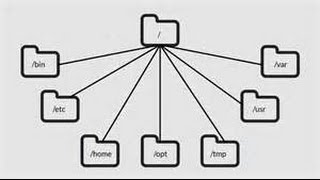 Learning the Linux File System [upl. by Eade]