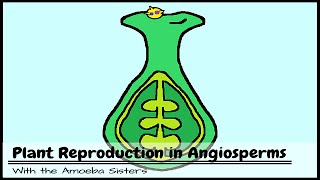 Plant Reproduction in Angiosperms [upl. by Shwalb16]