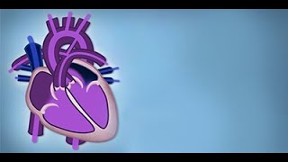 Fetal Circulation by L McCabe  OPENPediatrics [upl. by Ronal235]