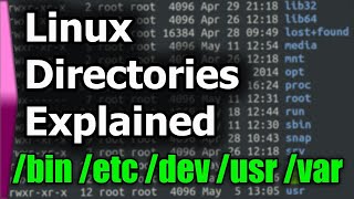 Linux File SystemStructure Explained [upl. by Enyehc64]