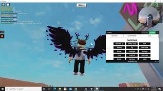 HOW TO FLY IN ANY ROBLOX GAME WORKING MAY 2023 [upl. by Enylrac409]