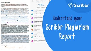 The Scribbr Plagiarism Report Explained  Scribbr 🎓 [upl. by Quartet]