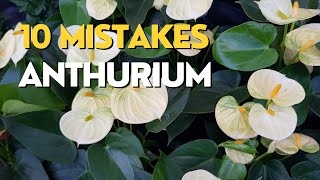 10 MISTAKES Growing Anthuriums  Flamingo Flower Care Tips [upl. by Marabelle638]