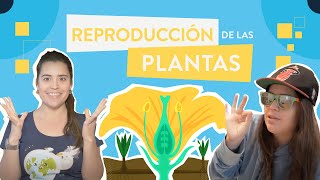 La reproducción de las plantas [upl. by Anirak]