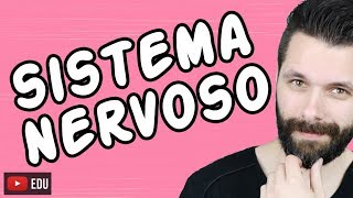 SISTEMA NERVOSO  FISIOLOGIA  Aula  Biologia com Samuel Cunha [upl. by Eivla]