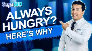 Top 8 Reasons You are Always Hungry amp How to STOP Hunger Sugar MD [upl. by Berton416]