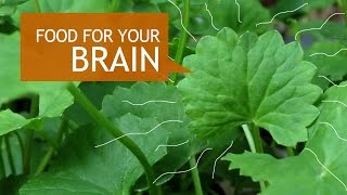 Gotu Kola Superfood Benefits  How To Grow [upl. by Siocnarf]