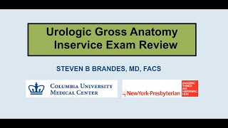 Get the Facts About Vesicoureteral Reflux VUR  Urology Care Foundation [upl. by Canale]