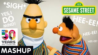 Sesame Street Bert and Ernie Friendship Mashup  Sesame50 [upl. by Nongim]