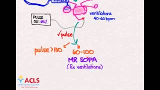 NRP Overview and Review by ACLS Certification Institute [upl. by Ayit]