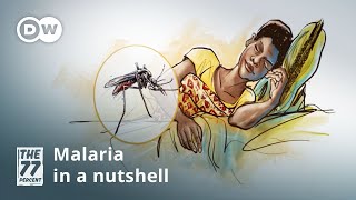 Malaria — Symptoms and treatment [upl. by China]