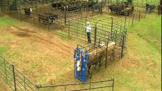 Priefert Small Cattle Working Systems [upl. by Feigin]