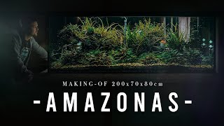 INCREDIBLE 1000L Amazon Aquarium build  XXL Step by Step Tutorial  Planted Tank [upl. by Enialehs]