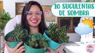 10 SUCULENTAS DE SOMBRA│Candy Bu [upl. by Annelak]