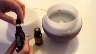 How to use a diffuser for your Essential Oils [upl. by Ehttam]