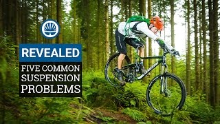 Five Common Suspension Problems amp How To Fix Them [upl. by Khoury]