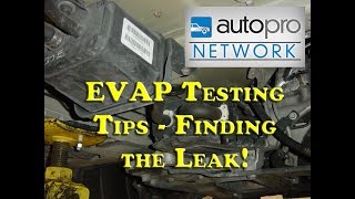 The Trainer 70  EVAP Testing Tips [upl. by Mariken]