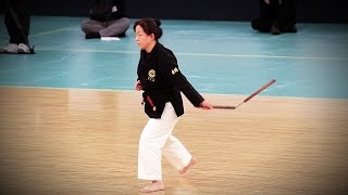 Karate Kingairyu Okinawa Kobujutsu  39th Kobudo Demonstration Nippon Budokan 2016 [upl. by Nylirrehs623]