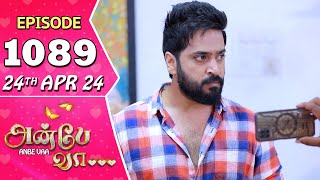 Anbe Vaa Serial  Episode 1089  24th April 24  Virat  Shree Gopika  Saregama TV Shows Tamil [upl. by Nilyarg234]