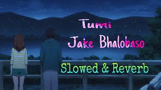 Tumi Jake Bhalobasho  Slowed and Reverb  Praktan  Iman  Anupam [upl. by Haeel422]