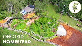 12 YEARS Living OffGrid on a Sustainable Homestead in a SelfBuilt Cob Home [upl. by Notyard]