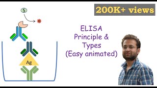 ELISA Enzymelinked Immunosorbent Assay [upl. by Ethelstan891]