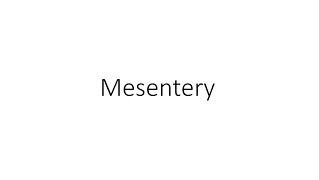 Mesentery  Anatomy [upl. by Penrose]