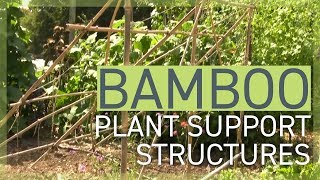 Bamboo Plant Support Structures [upl. by Olegnaed983]