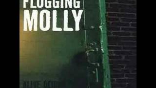 Flogging Molly  Never Met A Girl Like You Before [upl. by Lavine]