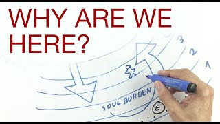 WHY ARE WE HERE explained by Hans Wilhelm [upl. by Amsed]