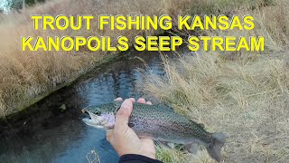 Trout Fishing Kanopolis Seep [upl. by Callum]