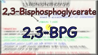 23Bisphosphoglycerate  23BPG  23BPG [upl. by Ivers]